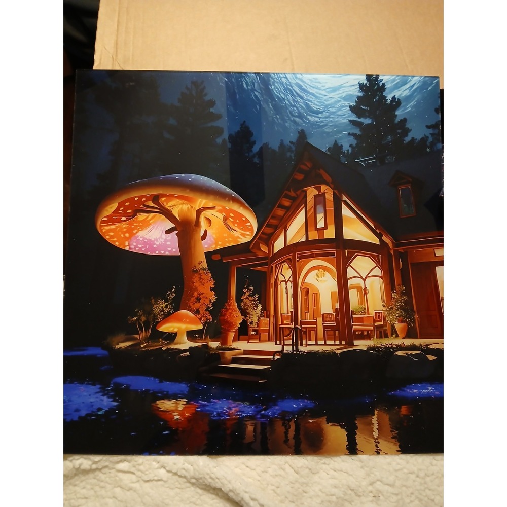 Pop Art‎ painting – Signed ORIGINAL 20x20 R.Black Mushroom Home #3
